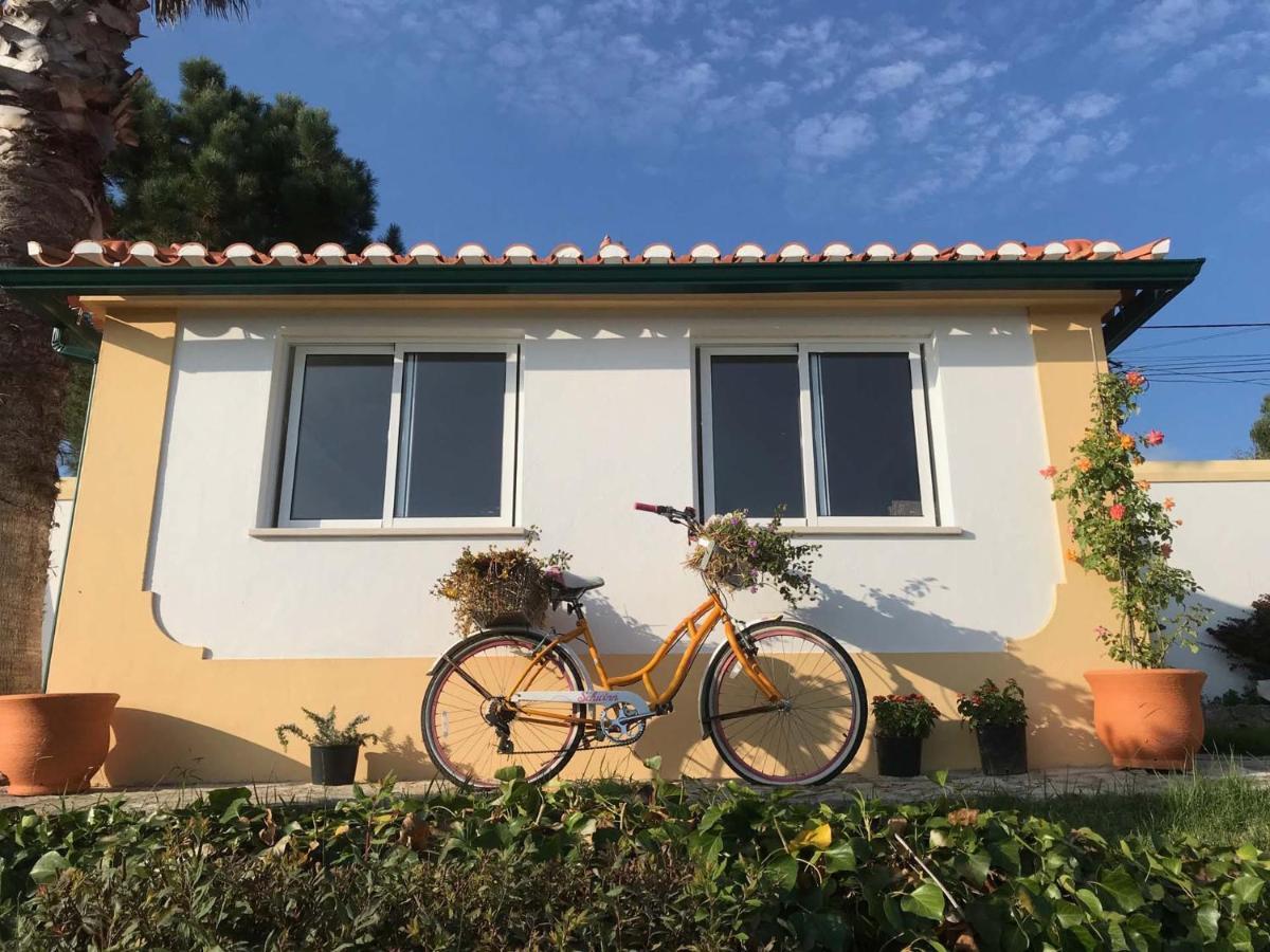 Vida-Vi, Country House And B&B Carvalhal Bemfeito Esterno foto