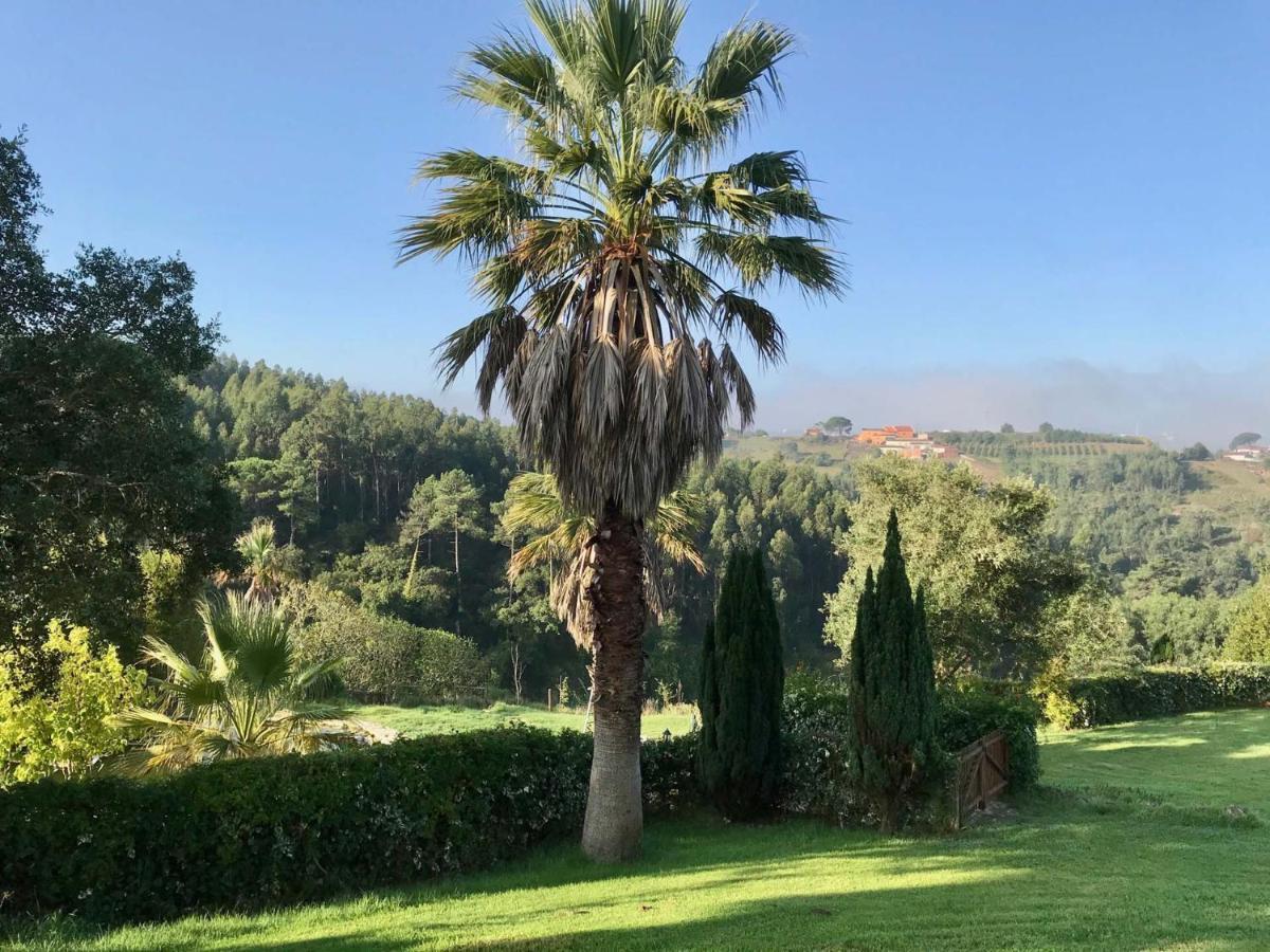 Vida-Vi, Country House And B&B Carvalhal Bemfeito Esterno foto