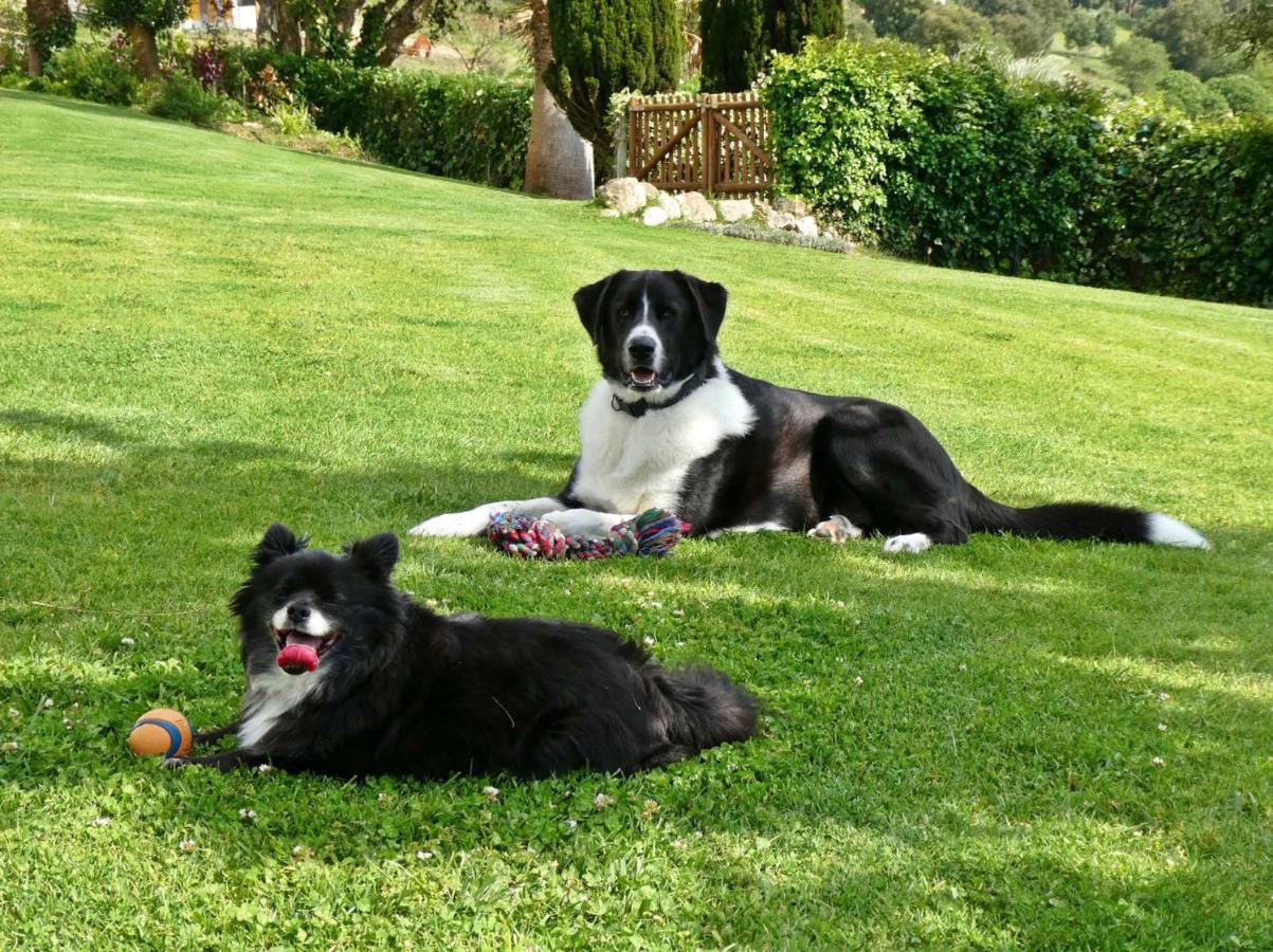Vida-Vi, Country House And B&B Carvalhal Bemfeito Esterno foto