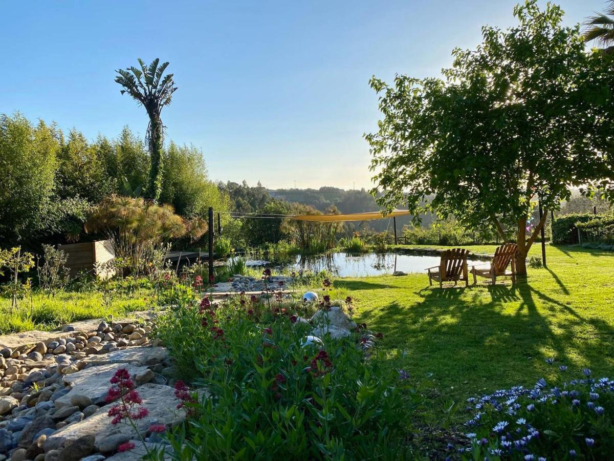 Vida-Vi, Country House And B&B Carvalhal Bemfeito Esterno foto
