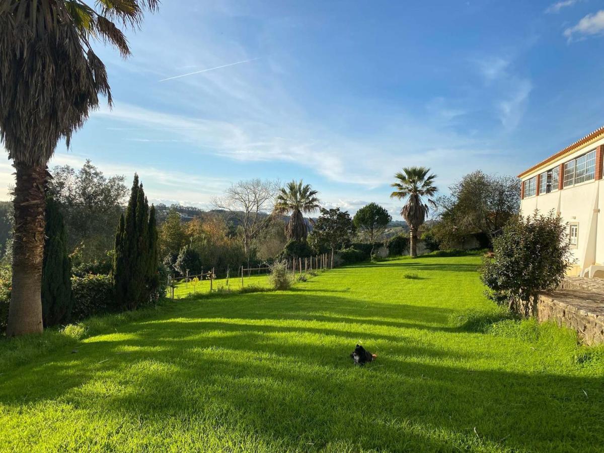 Vida-Vi, Country House And B&B Carvalhal Bemfeito Esterno foto