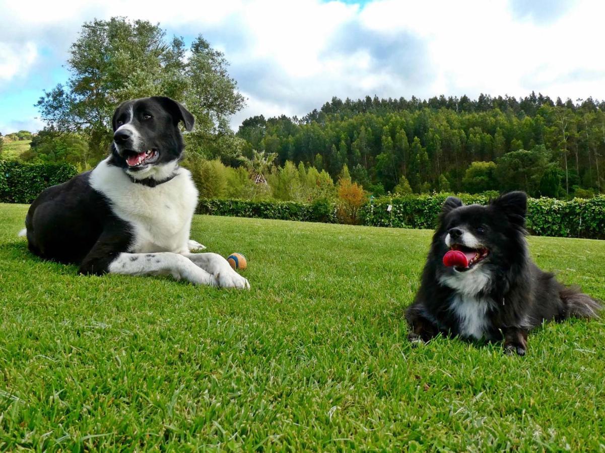 Vida-Vi, Country House And B&B Carvalhal Bemfeito Esterno foto