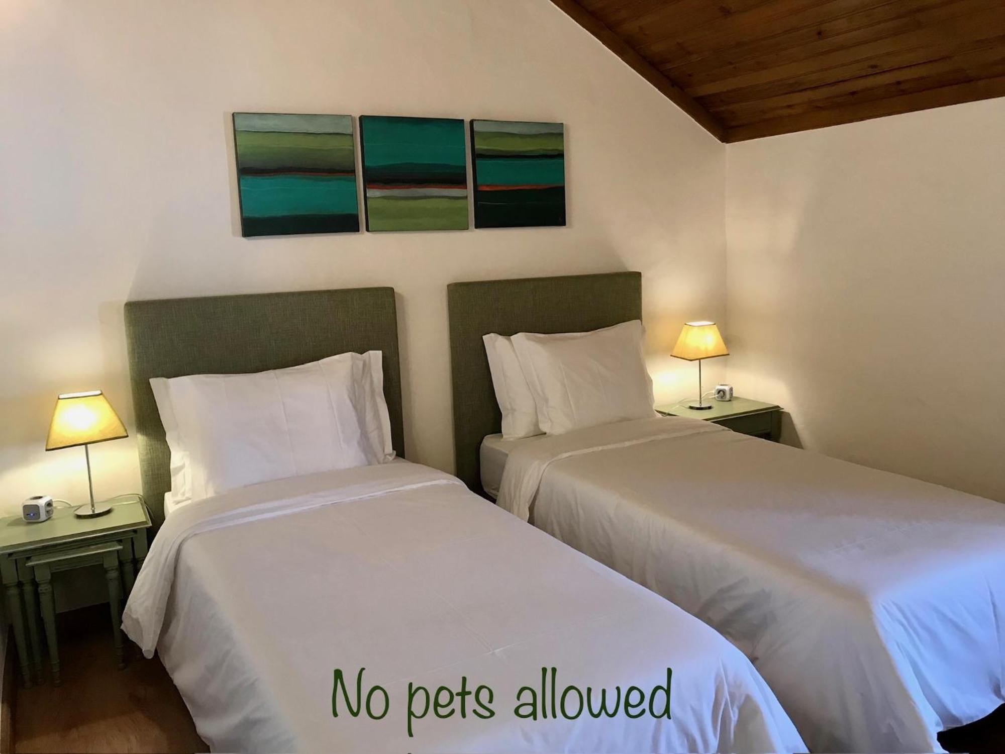 Vida-Vi, Country House And B&B Carvalhal Bemfeito Esterno foto